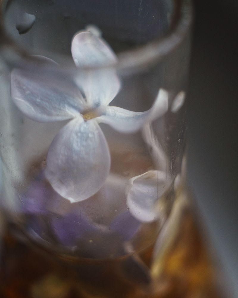 lilac