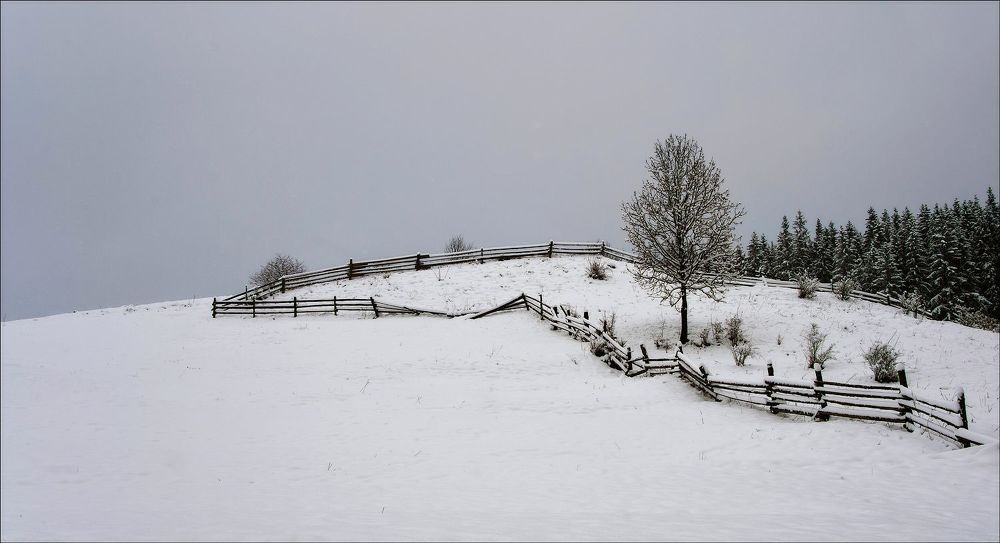 Photo 1714134
