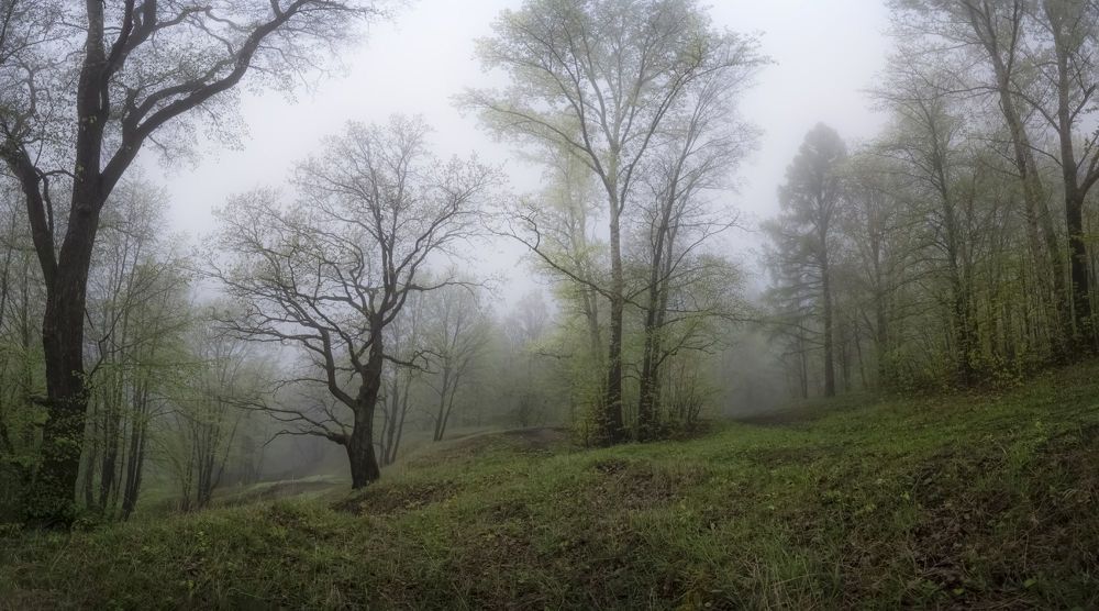 Photo 1715831
