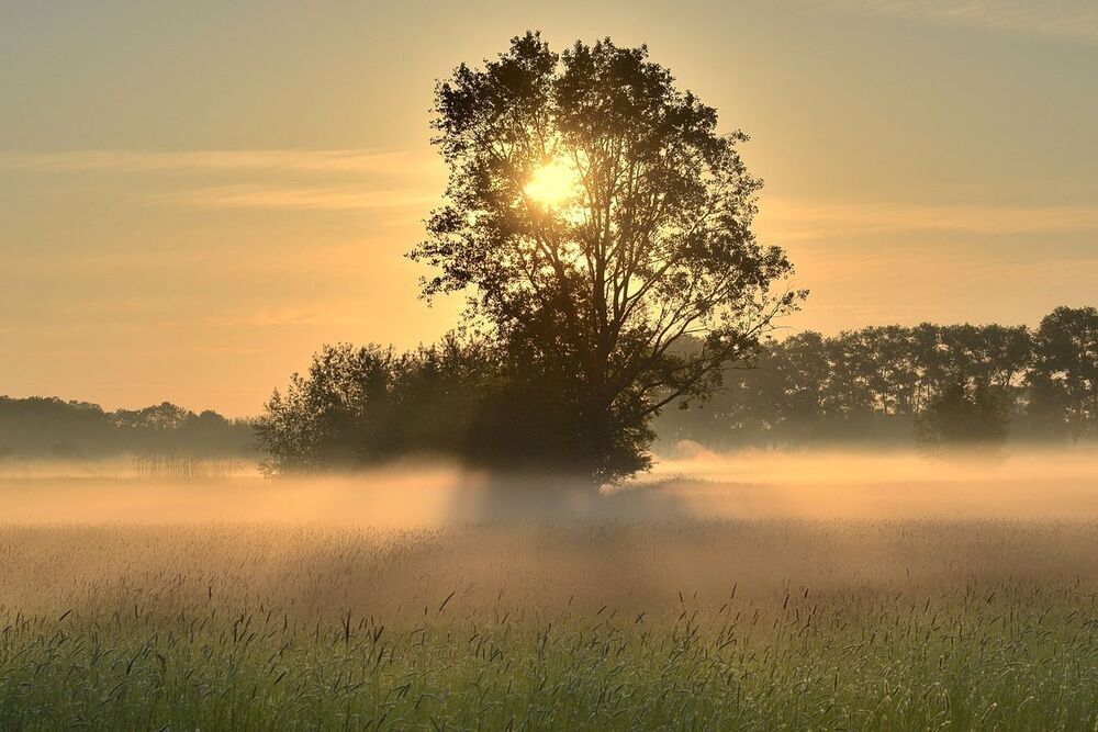 Early in the morning.