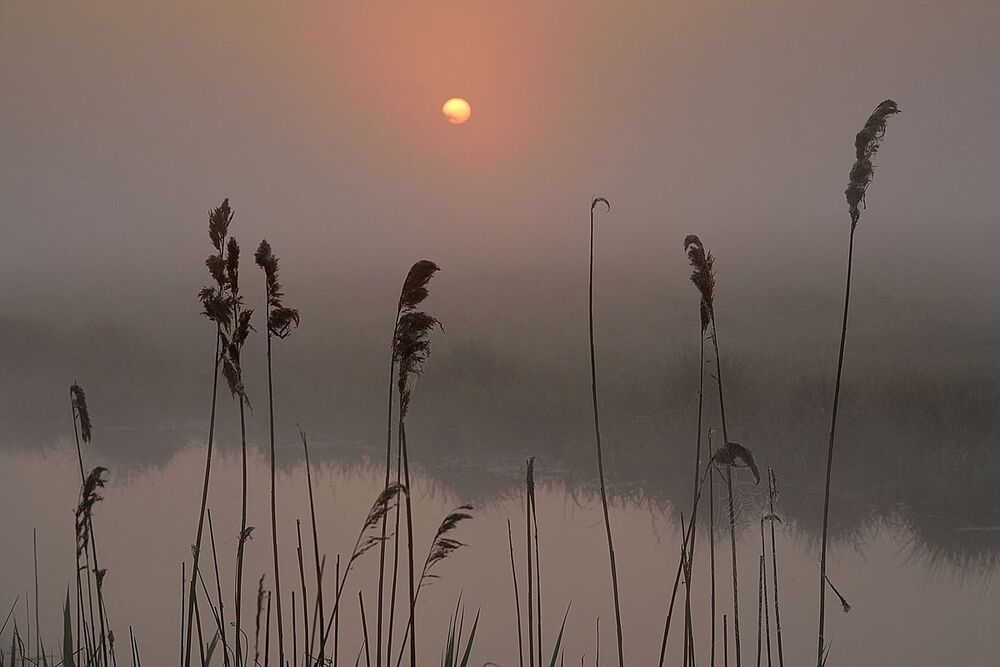 Early in the morning.