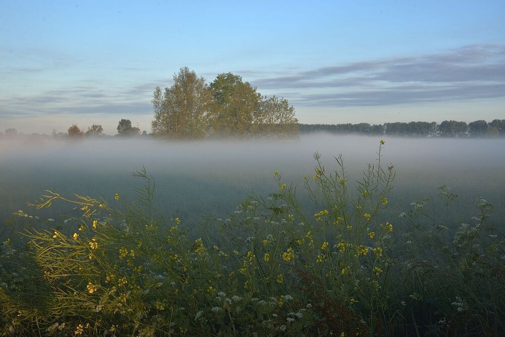 Early in the morning.