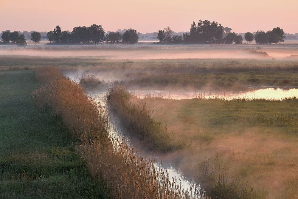 Early in the morning.