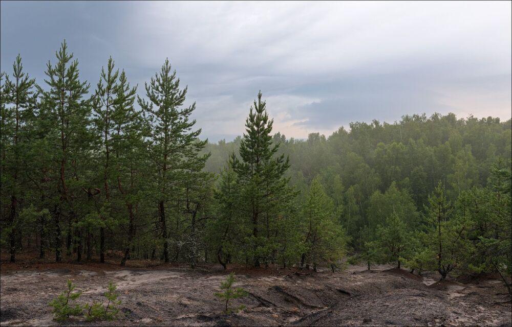 Рассвет в лесу на карьерах