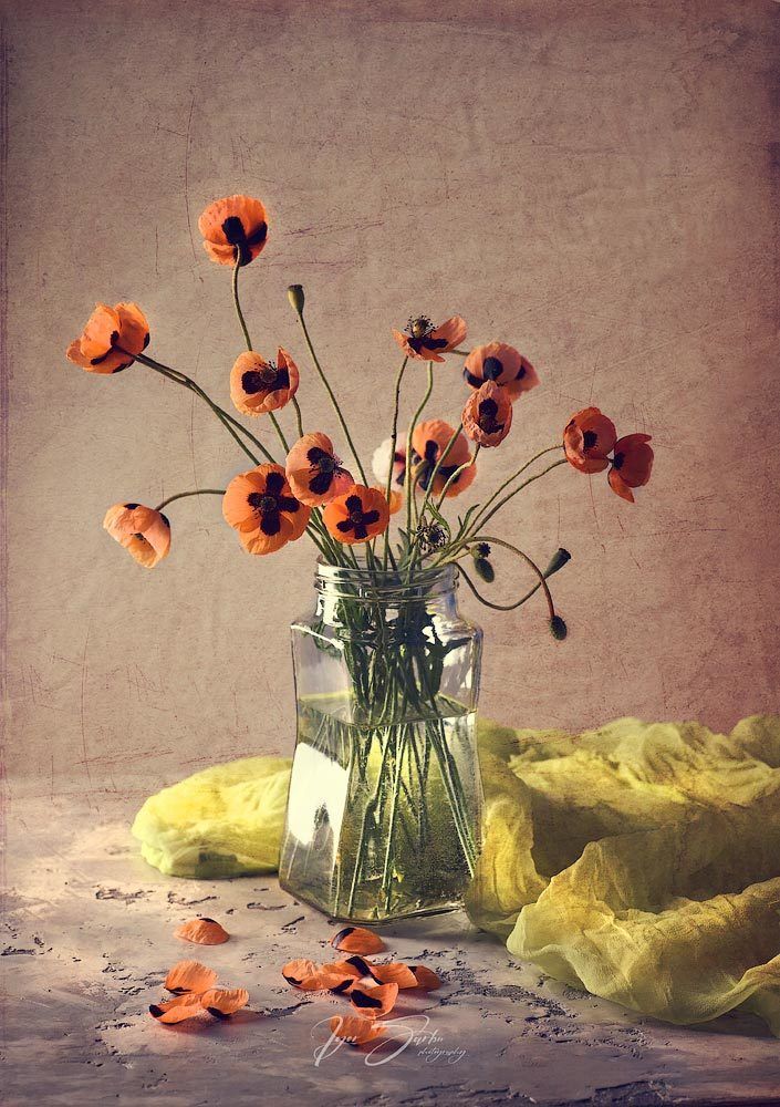 Poppies art