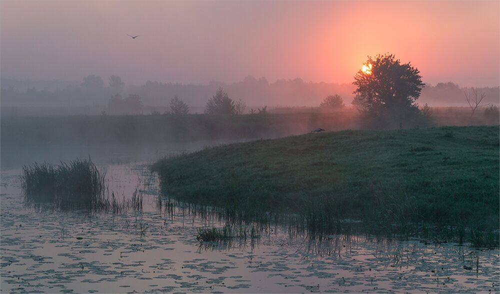 dawn story...