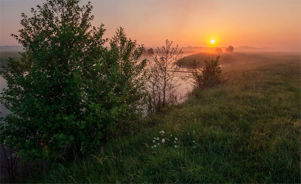 dawn story...