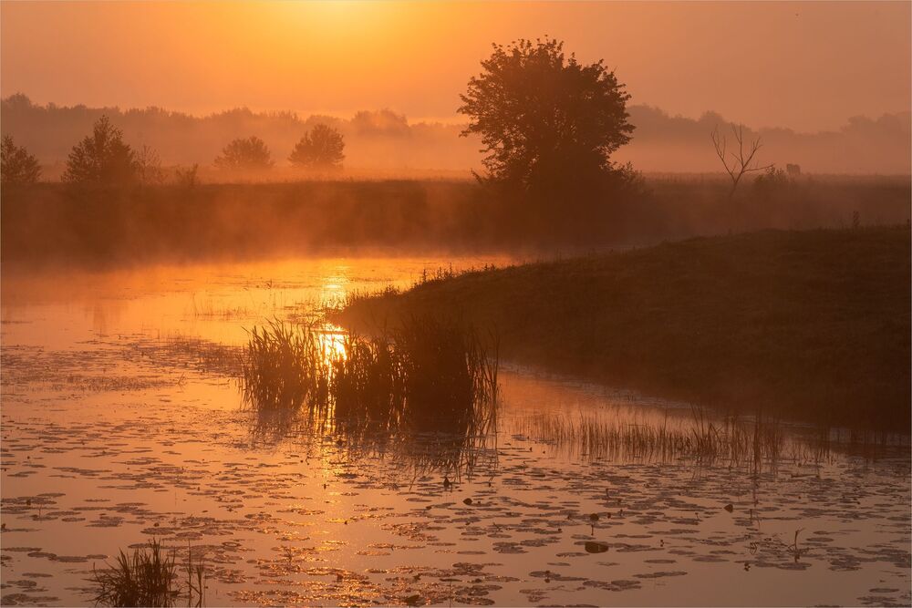dawn story...