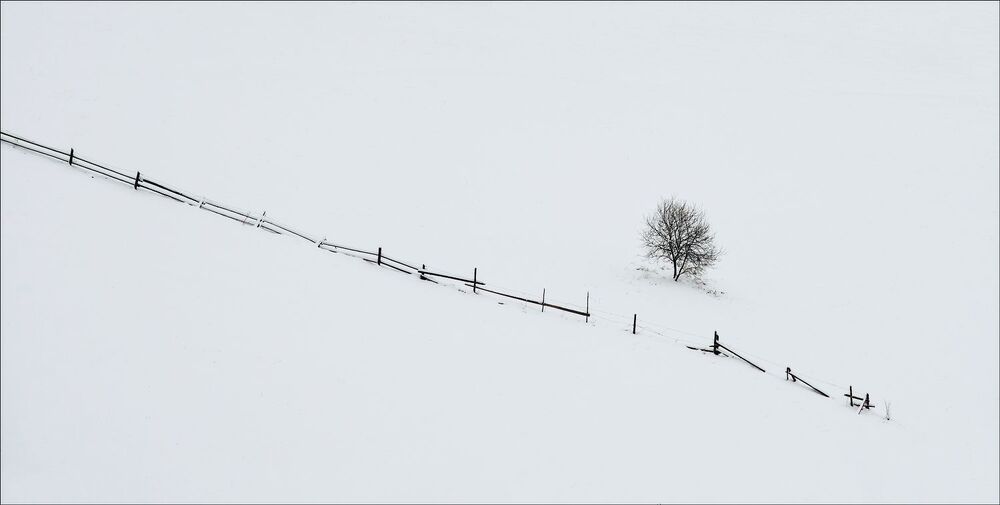 Photo 1717552
