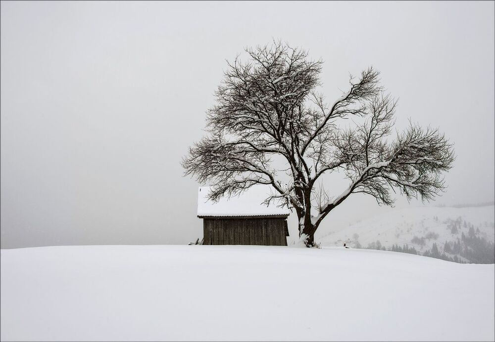 Photo 1717553