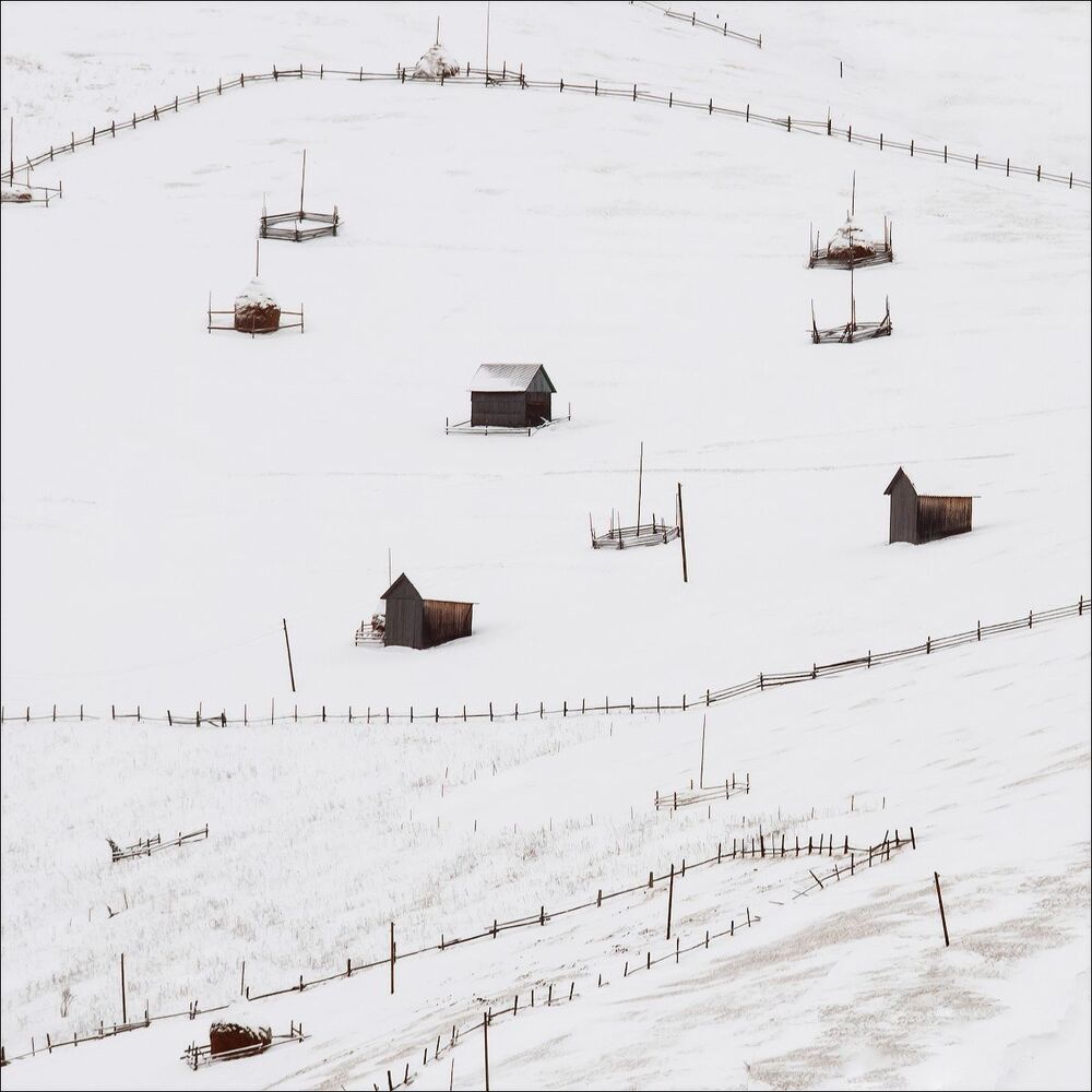 Photo 1717554