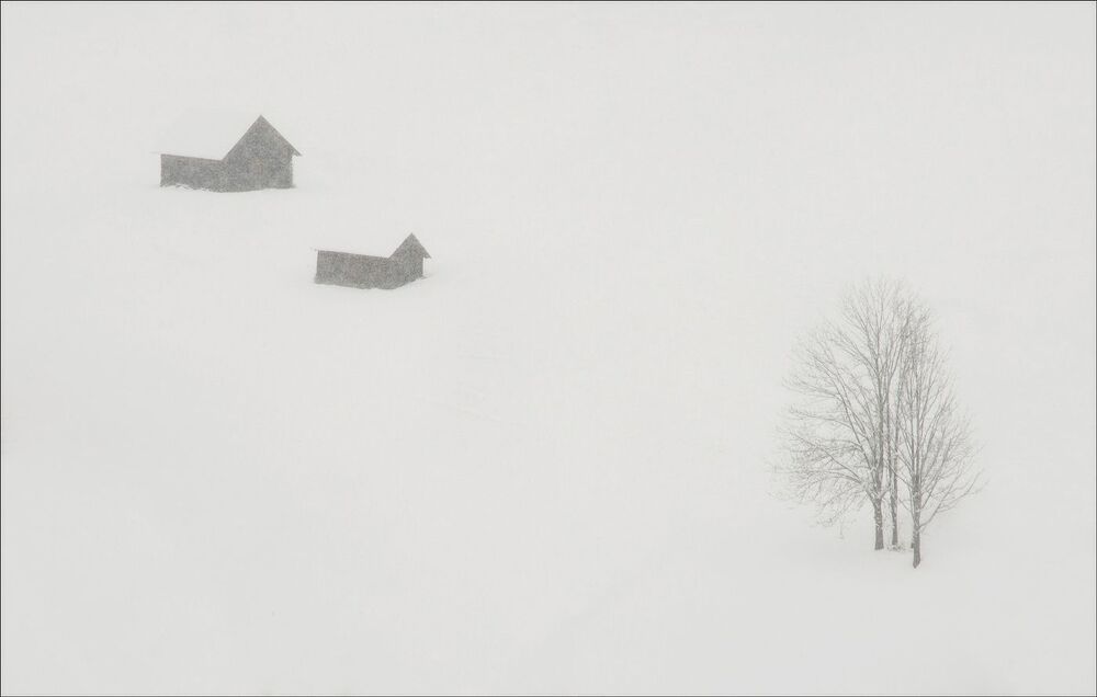 Photo 1717560