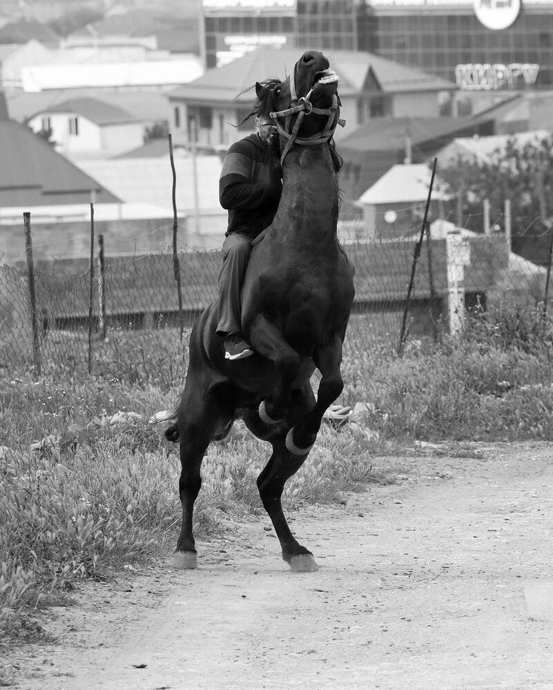 Не укротимый..