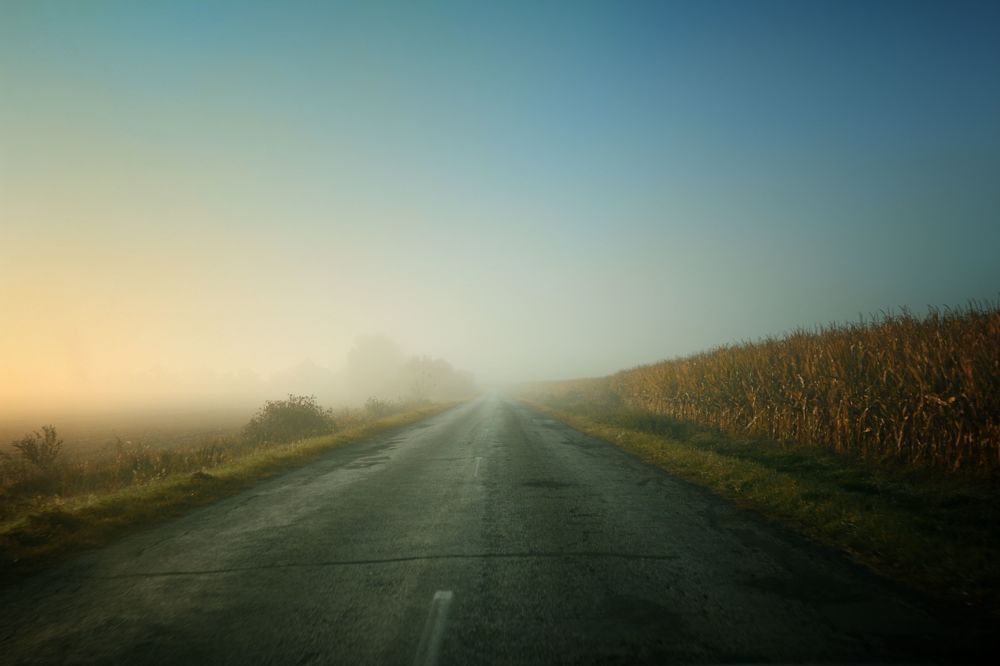 Country roads