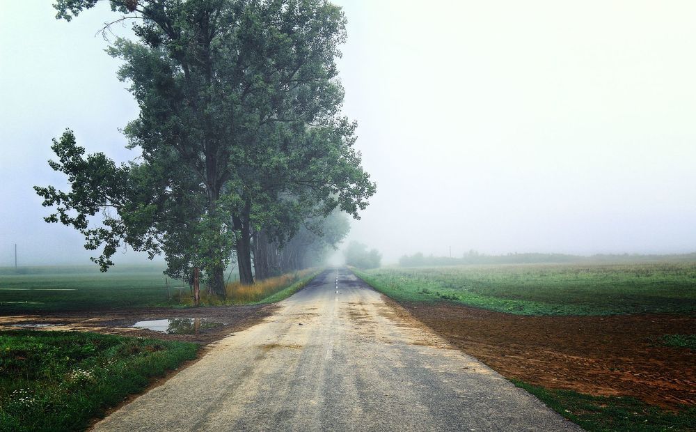 Country roads