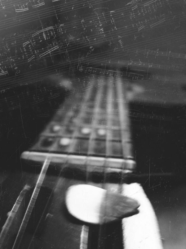 Photo 172036