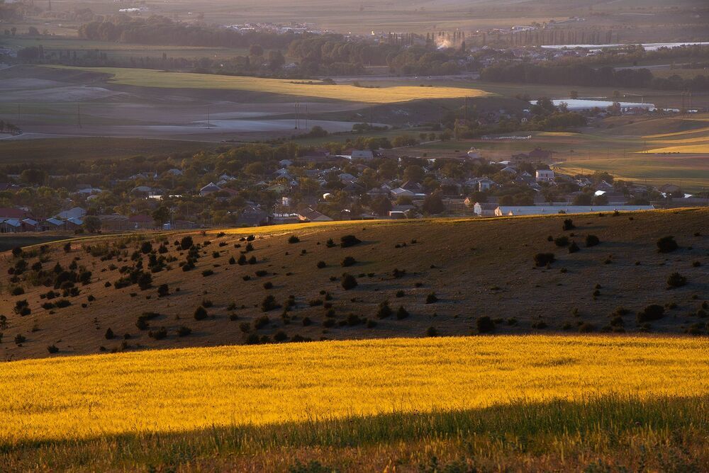 Палитра Крымских полей