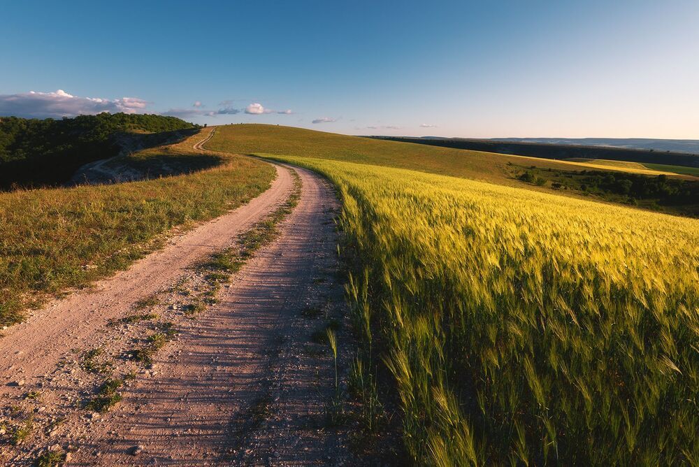 Палитра Крымских полей