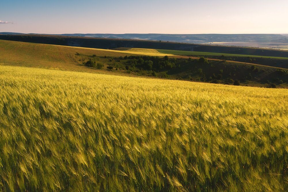 Палитра Крымских полей