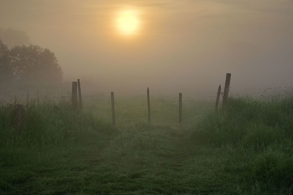 The mysterious morning.