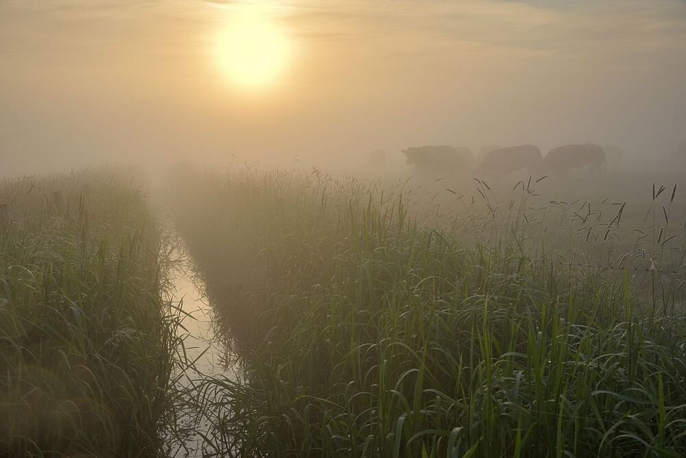 The mysterious morning.