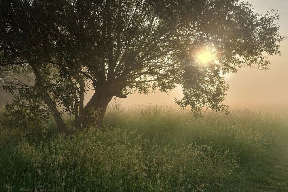 The mysterious morning.