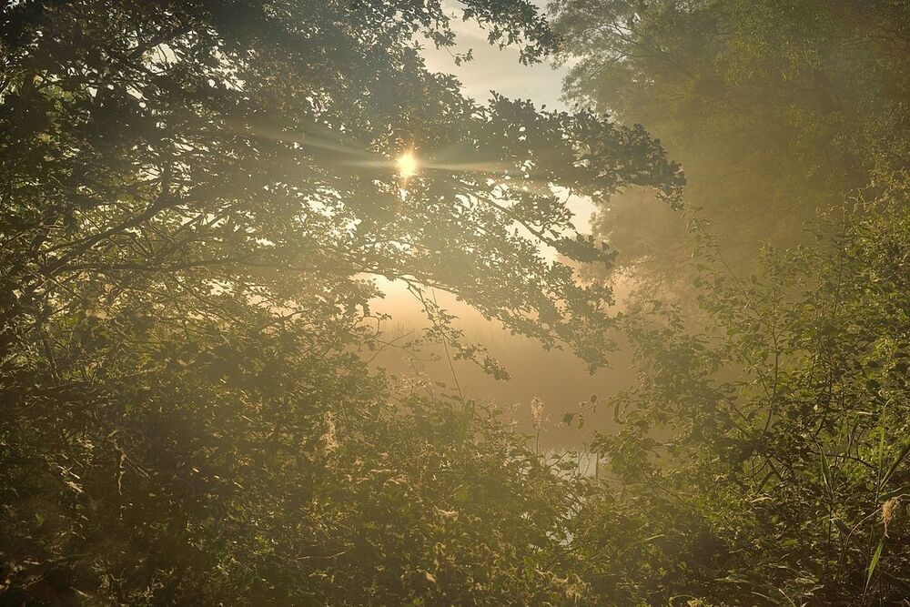 The mysterious morning.