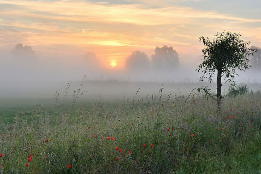 The mysterious morning.