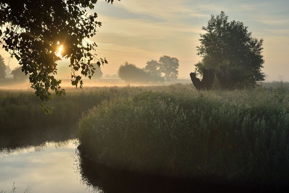 The mysterious morning.