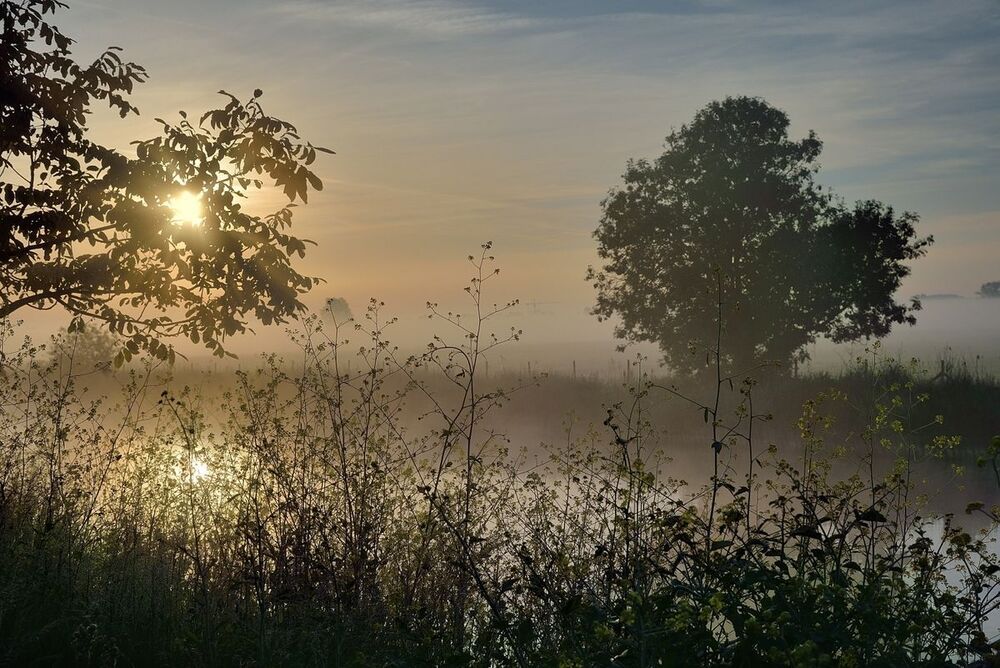 The mysterious morning.
