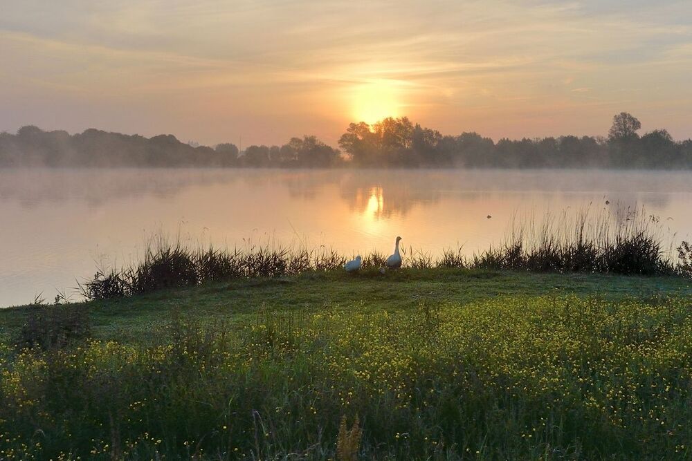 The mysterious morning.