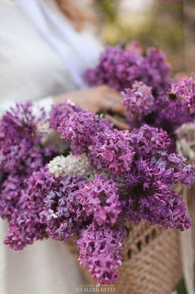 The Violet Love