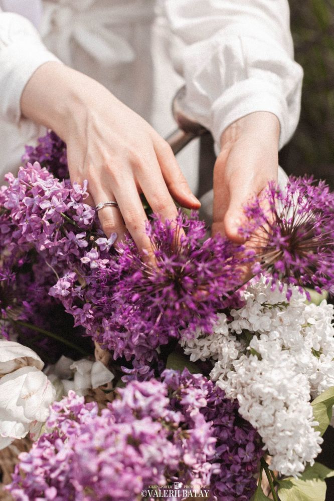 The Violet Love