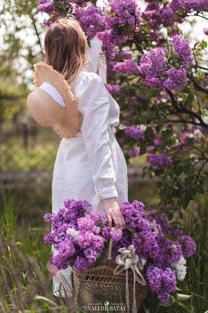 The Violet Love
