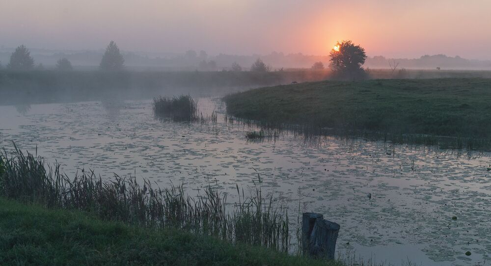 june dawn...