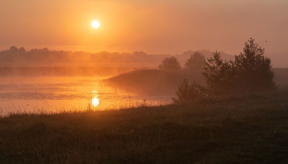 june dawn...