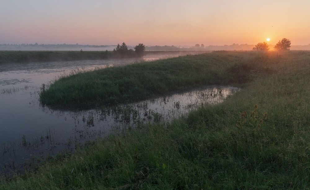 june dawn...
