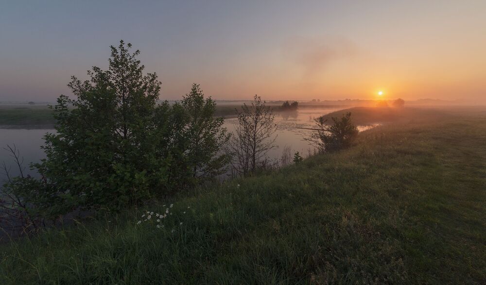 june dawn...