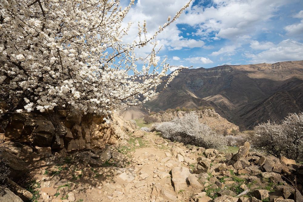 Гамсутль, Дагестан