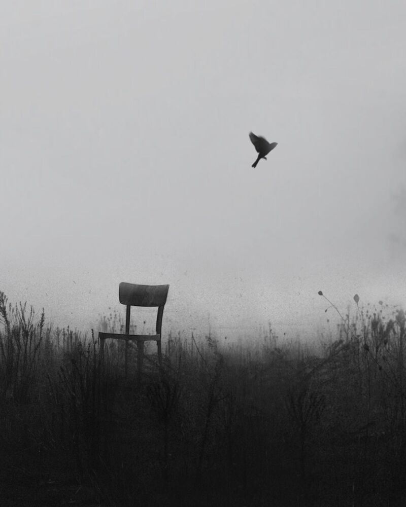 Dark world