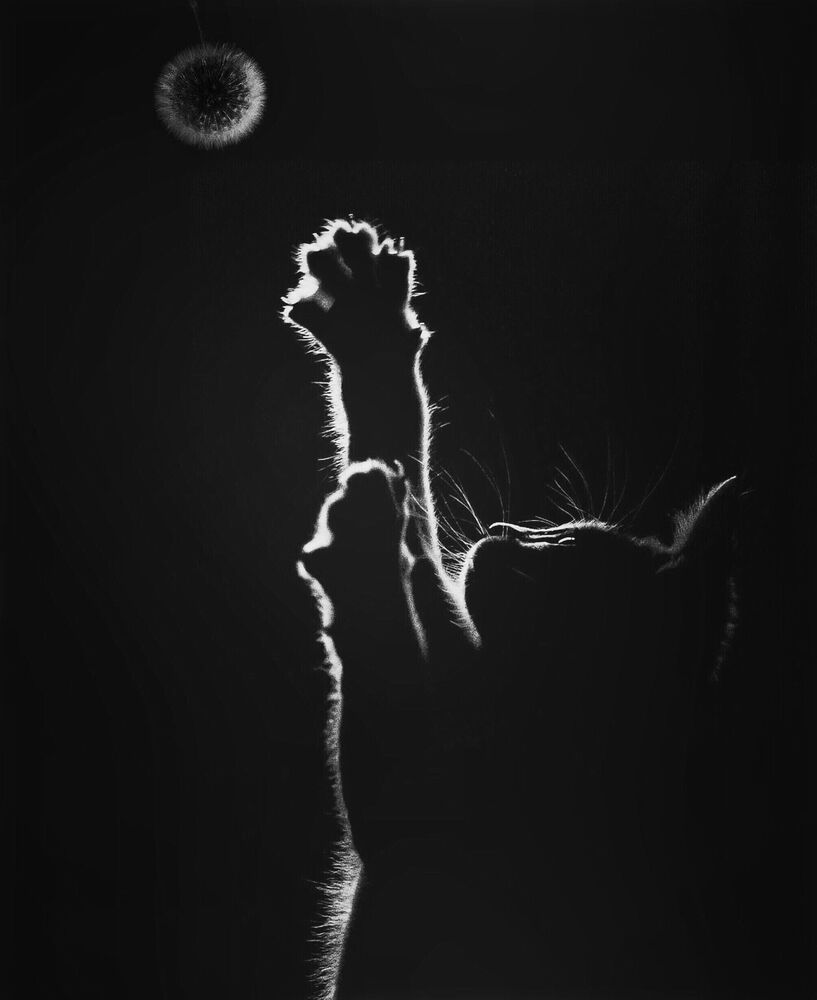 Dark world