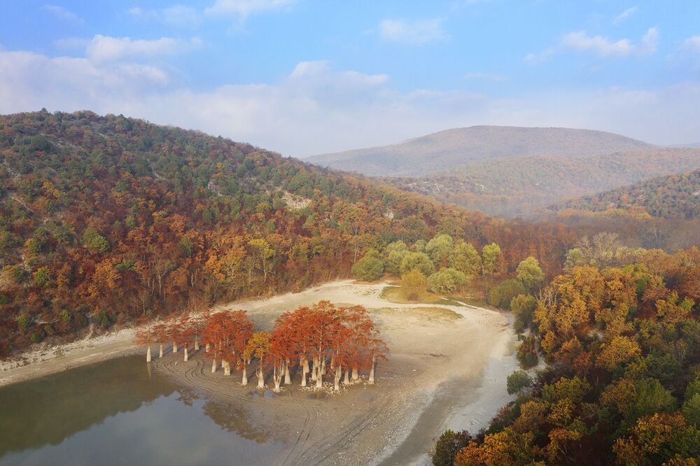 Кипарисы в Сукко