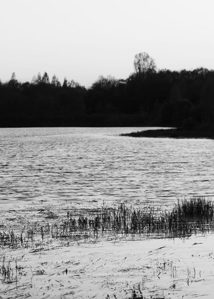 Photo 1724086