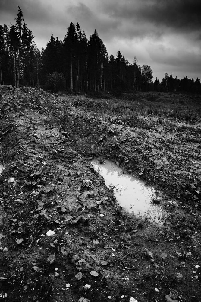 Photo 1724087