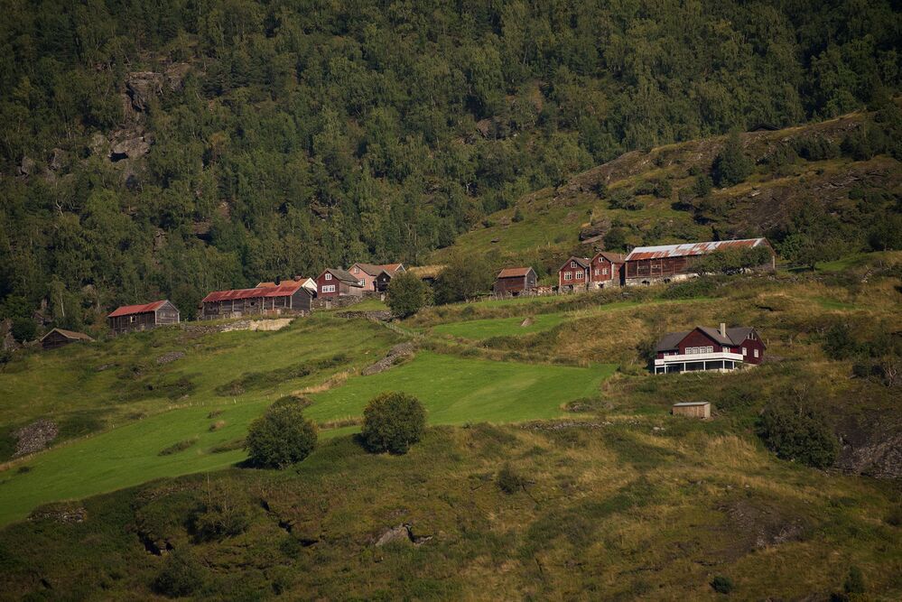 Fl&aring;m