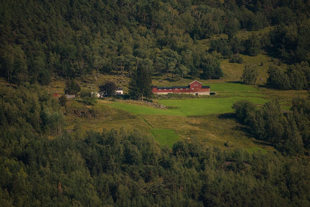 Fl&aring;m