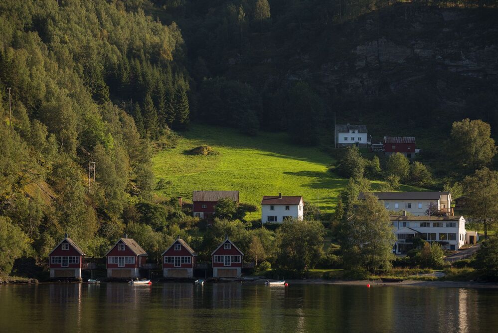 Fl&aring;m