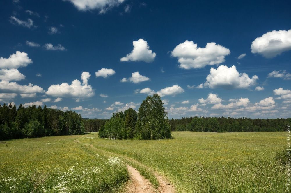 Русь