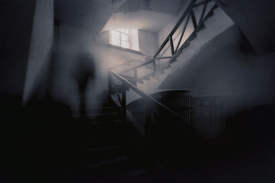 Photo 1728923