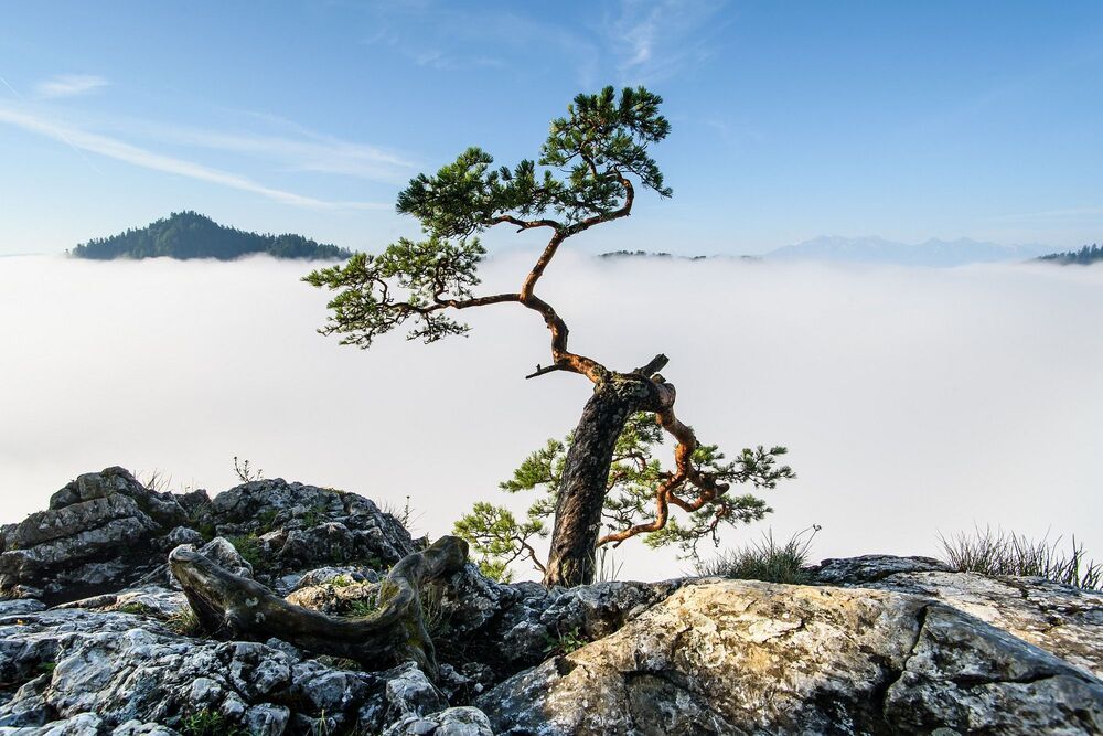 Tatras and Pieniny mountains